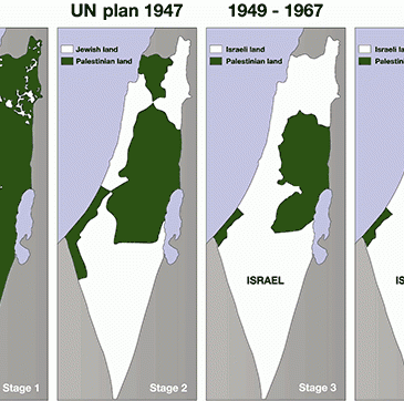 growth catalysts commentary on collective trauma caused by Israeli occupation of Palestina